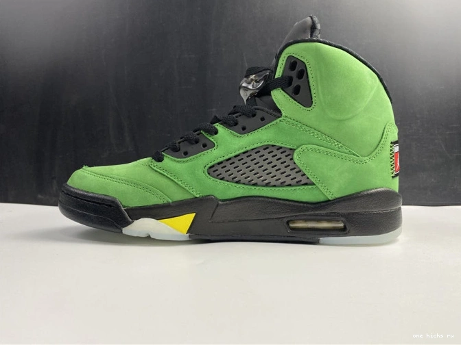 Rep Air Ducks 5 CK6631-307 Jordan SE Oregon 0814